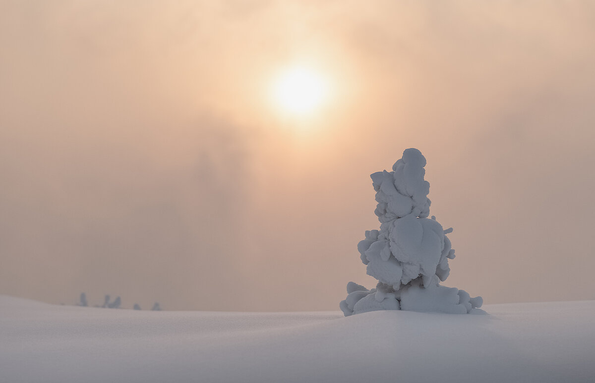Елочка гномик - Марина Фомина.