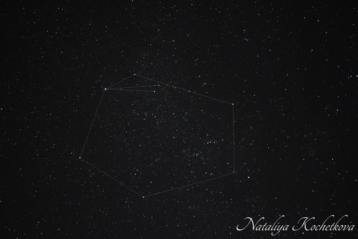 Природа Крыма - Amazing Cosmea