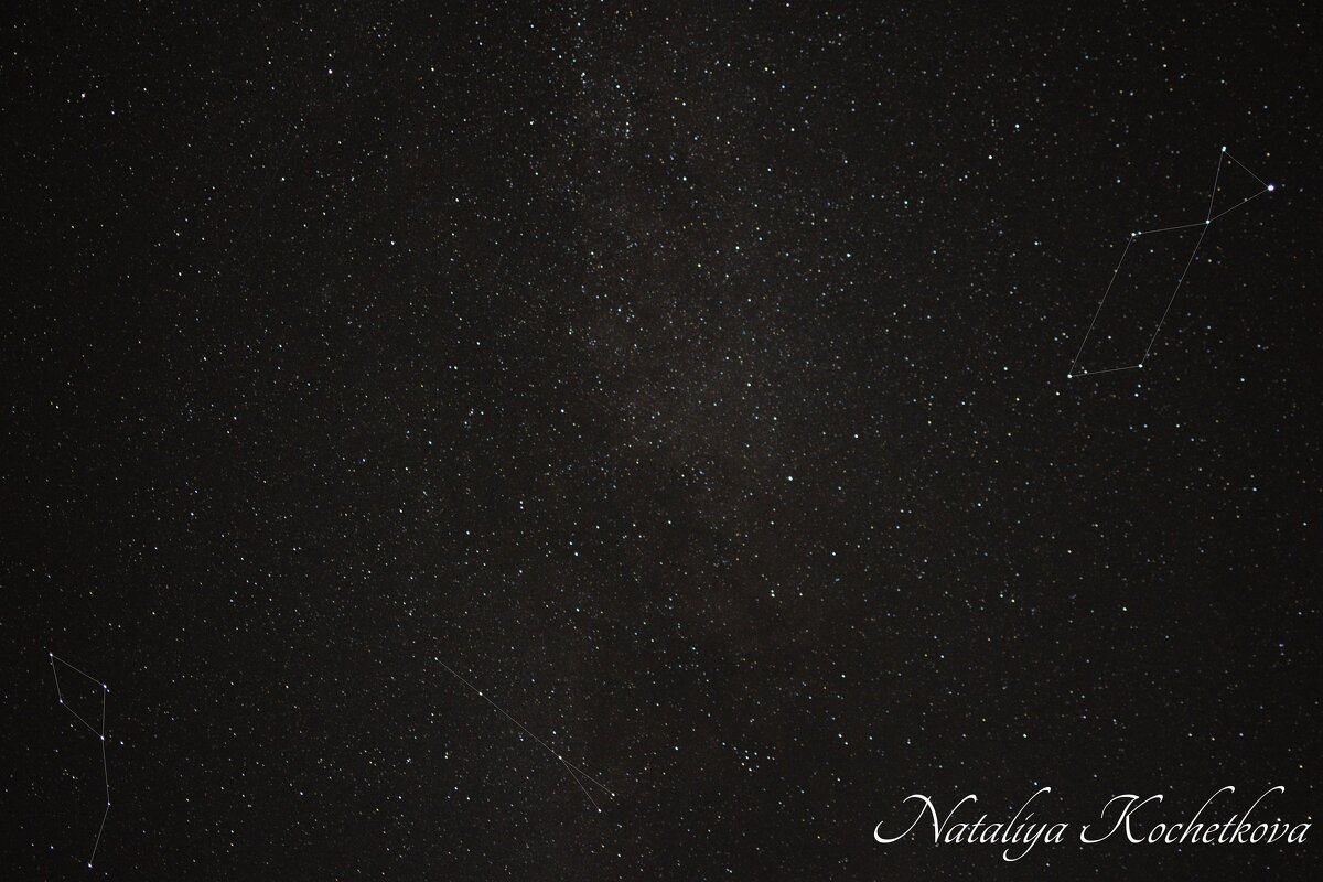 Природа Крыма - Amazing Cosmea