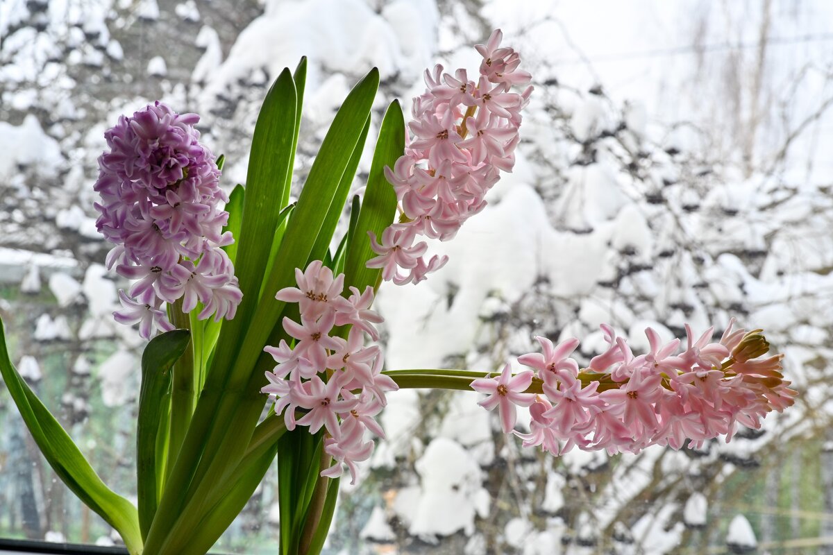 Контрасты - Вадим 