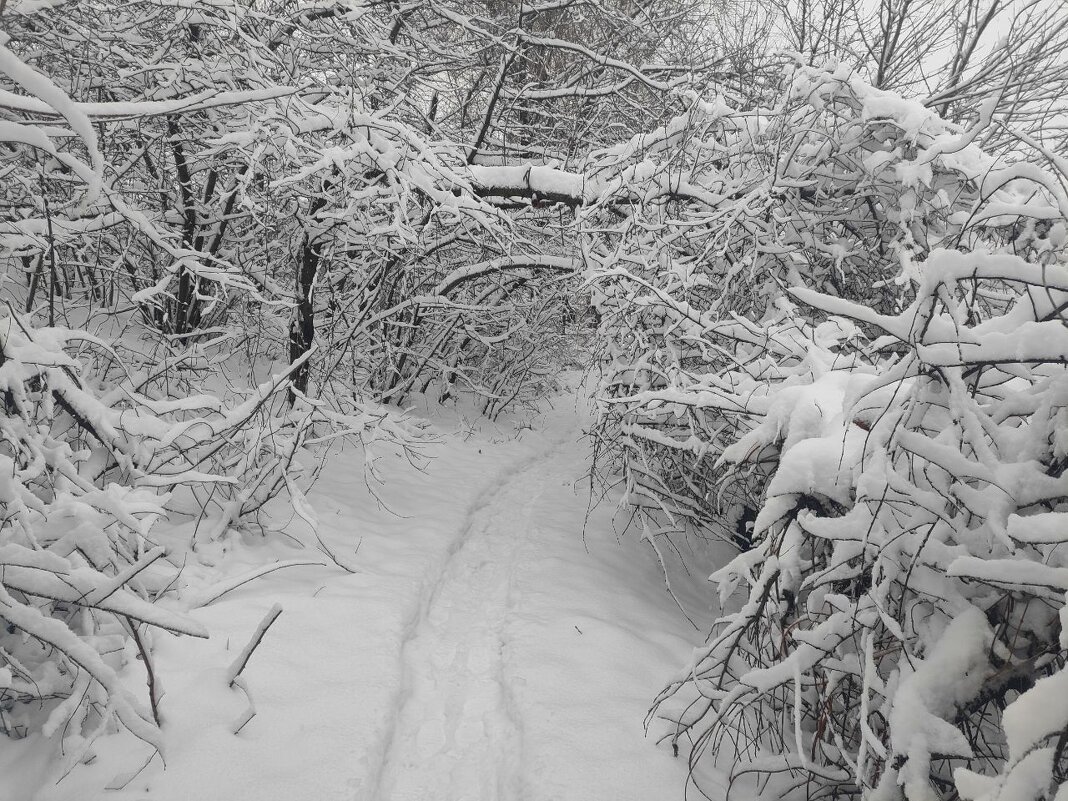 Снежный туннель - Наталья (ShadeNataly) Мельник