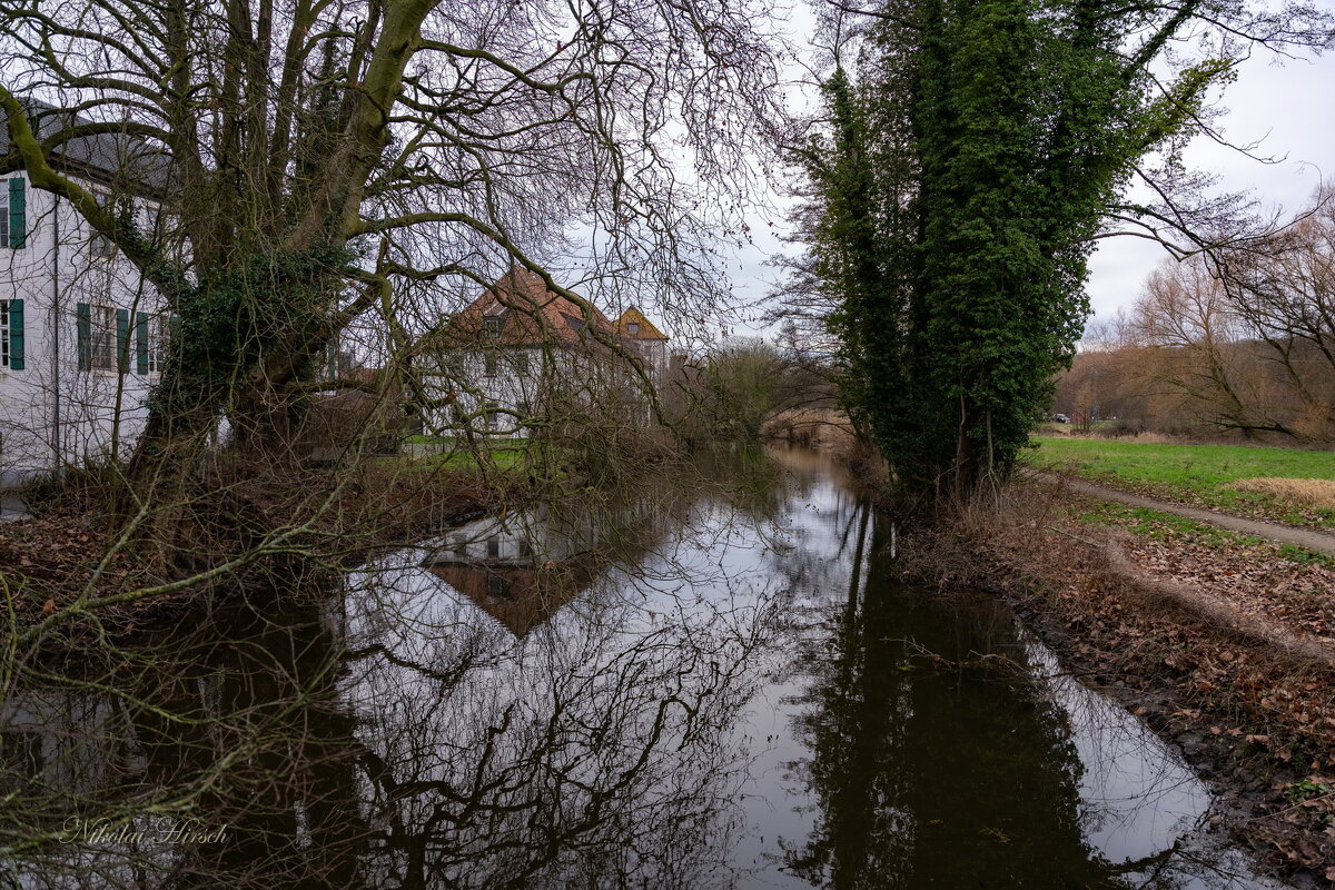 *** - Николай Гирш