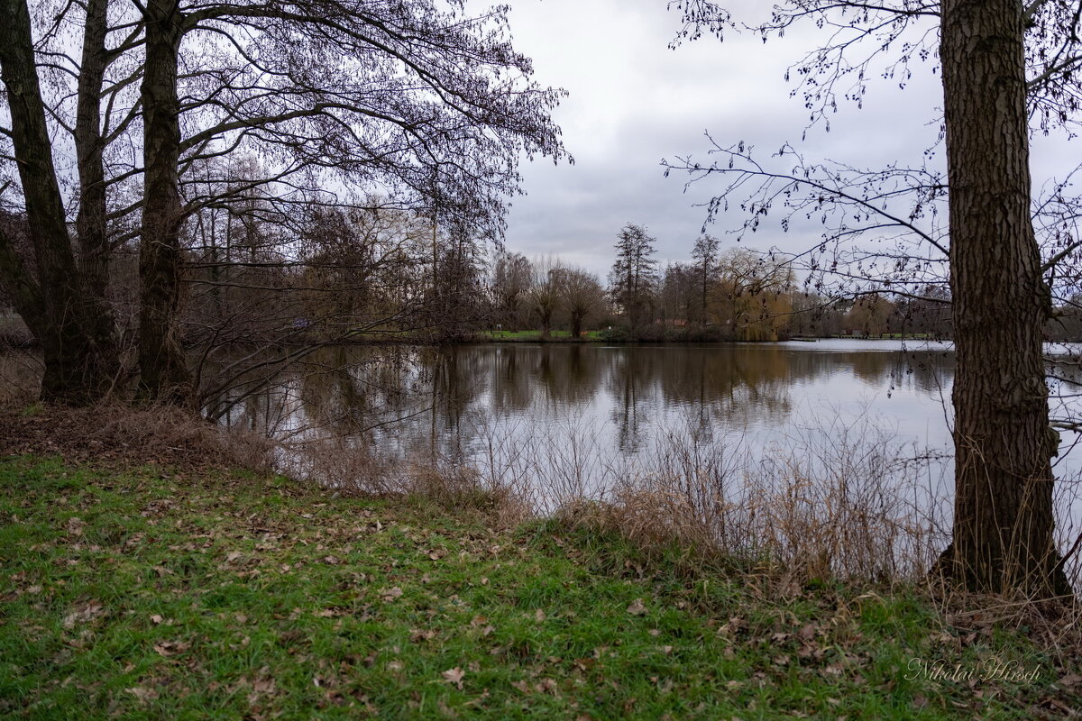 *** - Николай Гирш