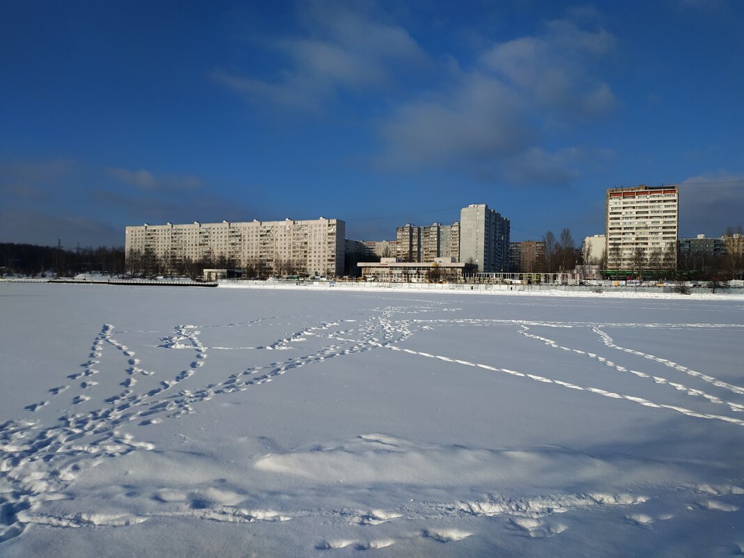 Февраль в Москве - Андрей Лукьянов