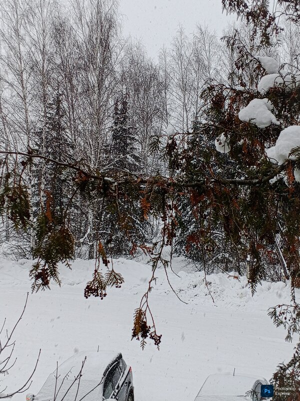 Белым-бело - Юлия Денискина