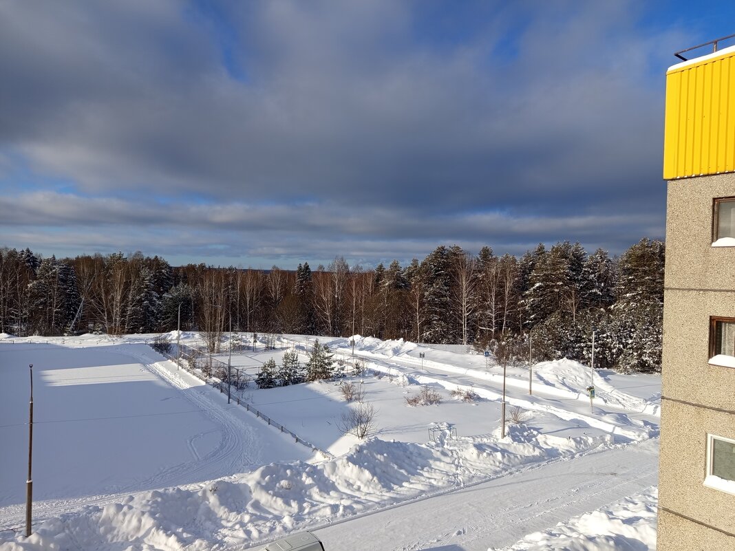 Проблески февральского солнышка. - Алена 