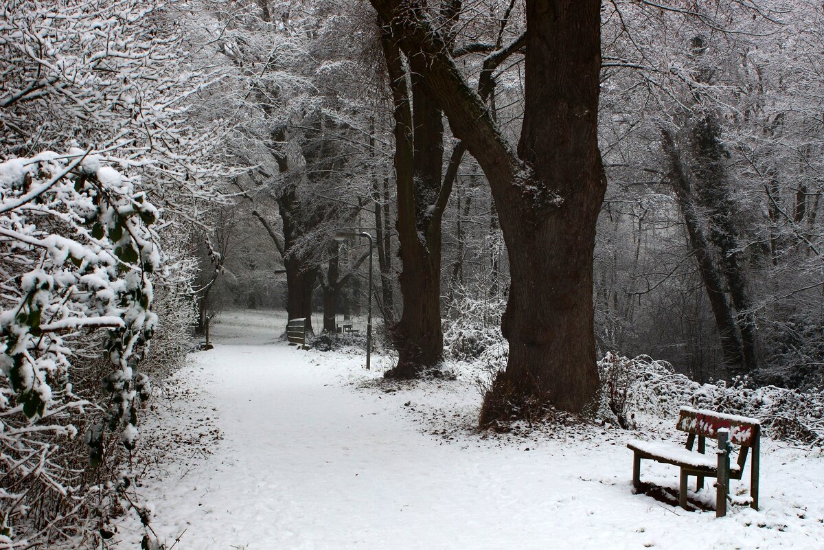 Январь - Юрий. Шмаков