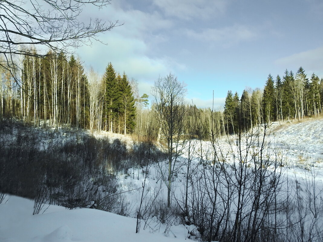 зимние пейзажи - ИННА ПОРОХОВА