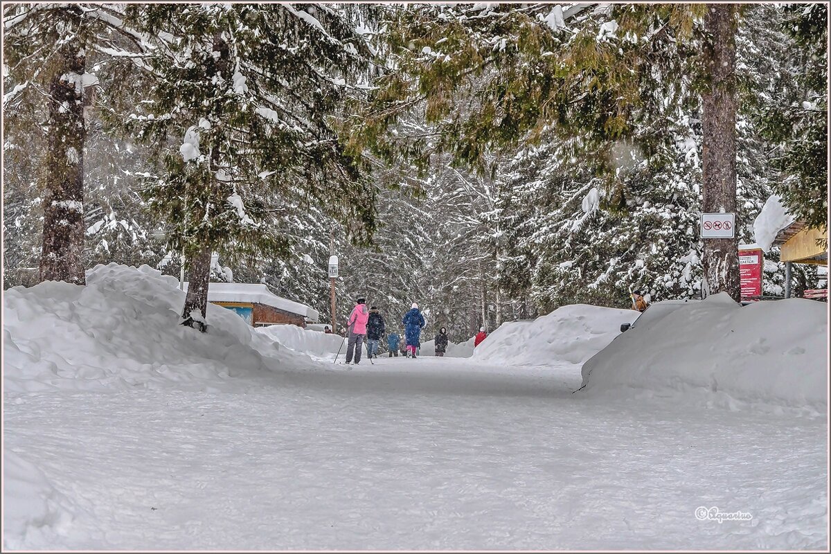 А за городом зима, зима, зима… - Aquarius - Сергей