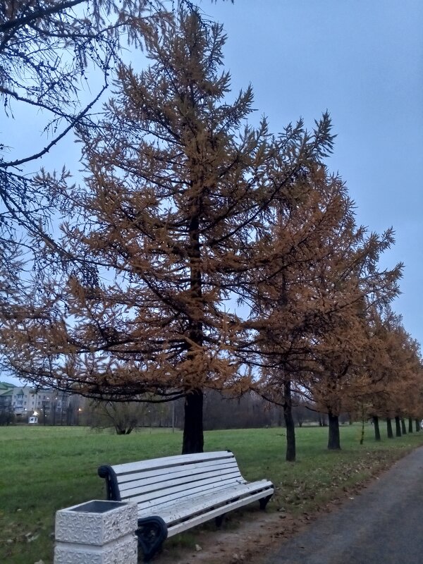 Осень - Сапсан 