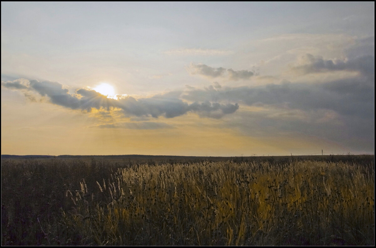 Осенний сон - **** vedin
