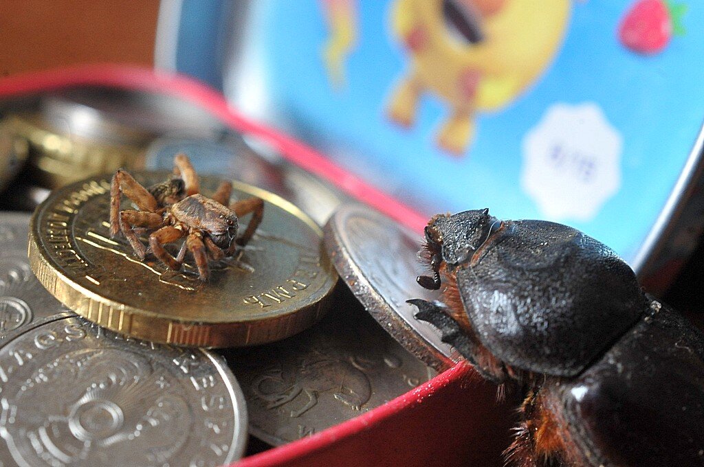 Оформление кредита в банке... )) - Владимир Хиль