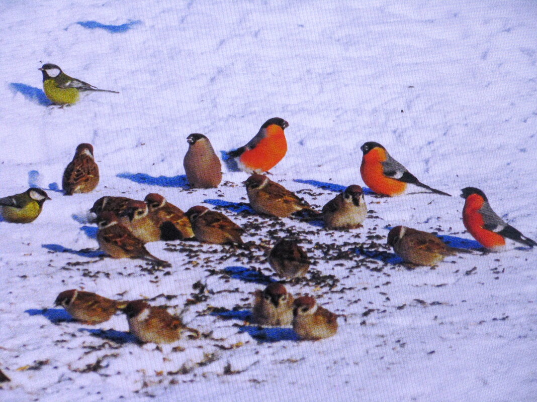 Все есть хотят - Людмила Смородинская