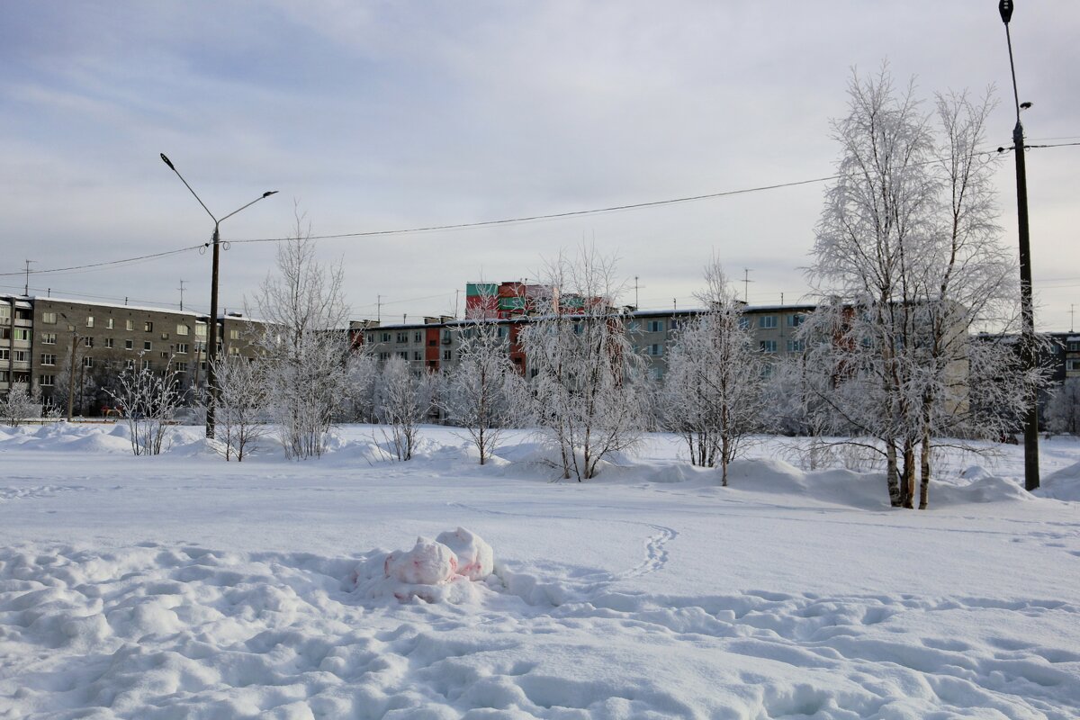 Зимний день - Ольга 