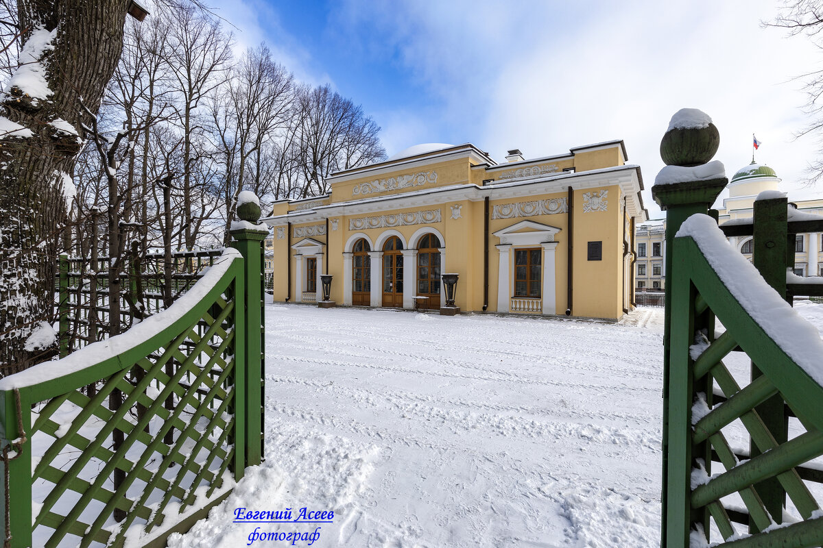 Зима в Летнем саду - Евгений 