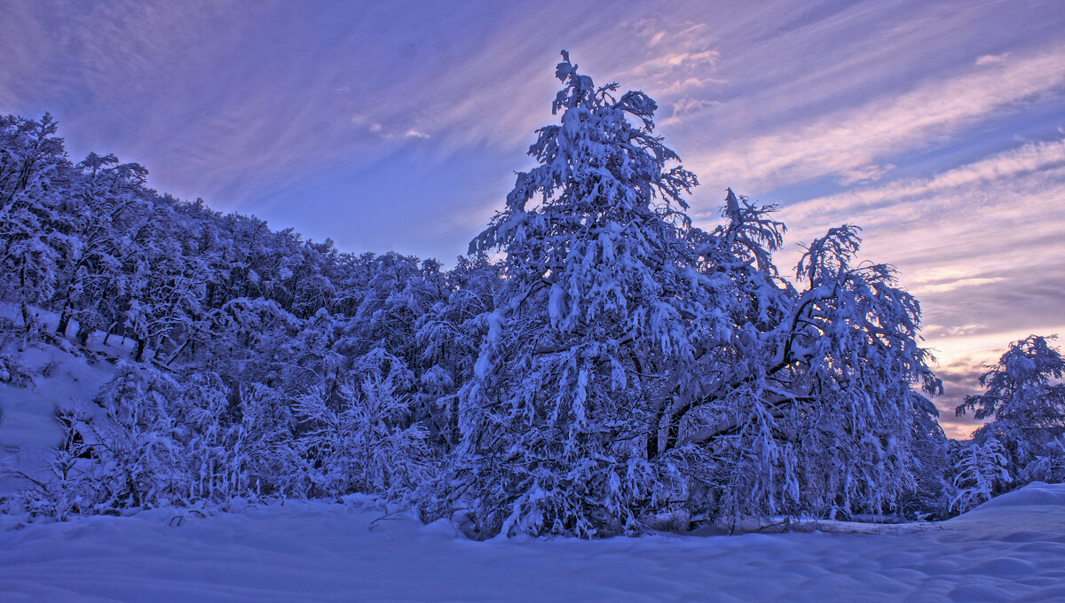 Новогоднее утро---02 - Владимир Холодный