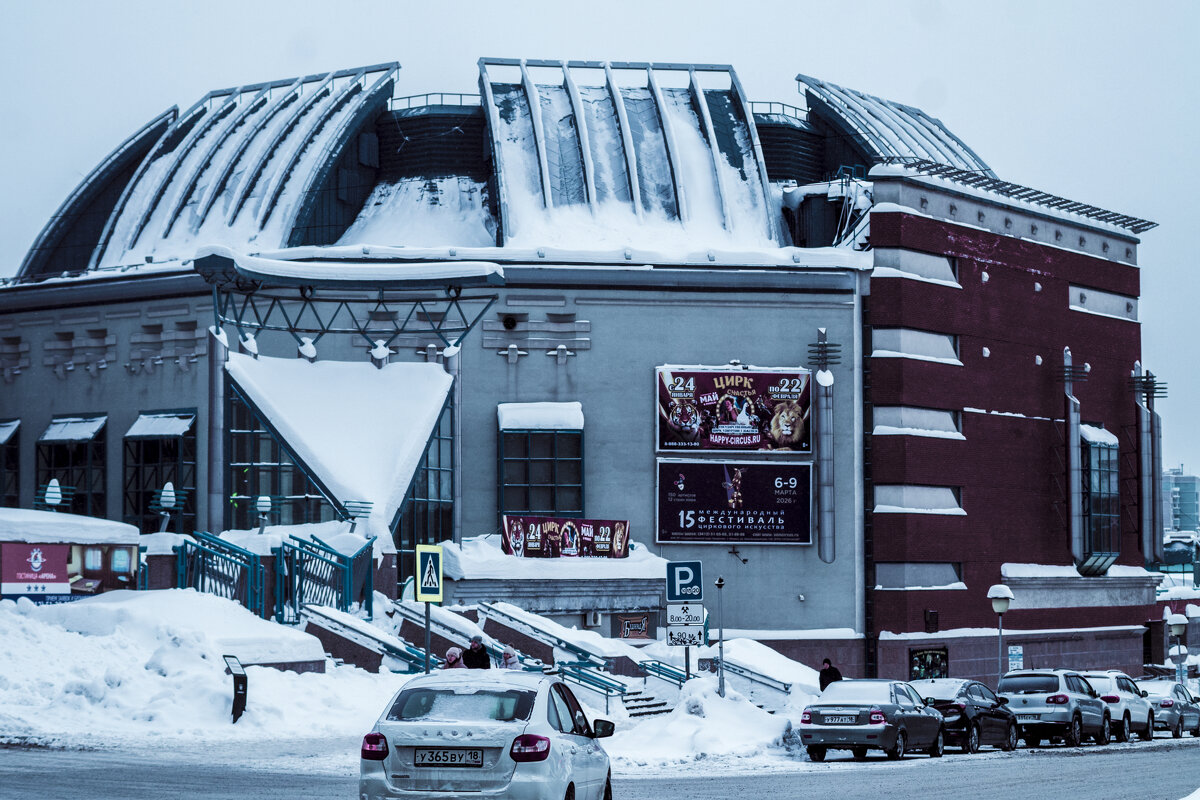 ЦИРК будет - Владимир Максимов