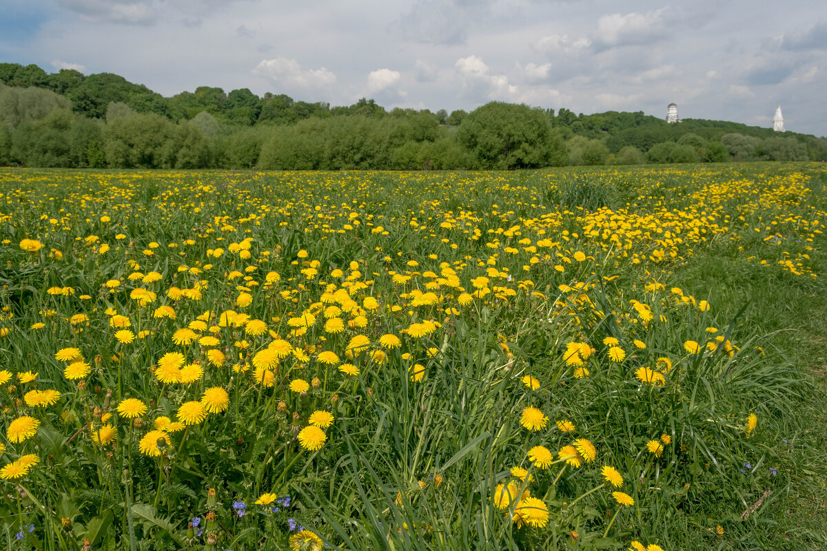 Весна - Владимир Жуков