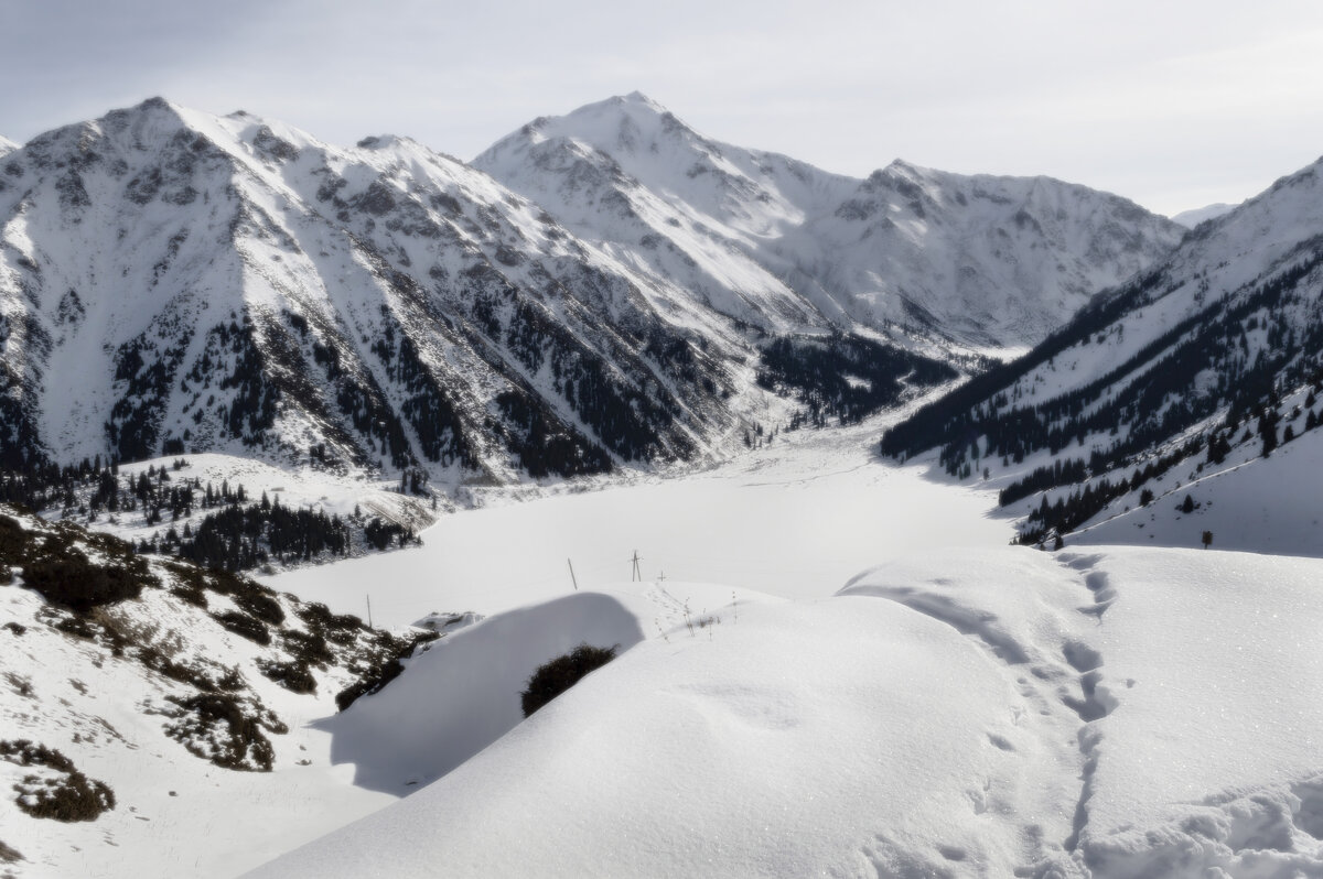 Зимний прикид - LudMila 