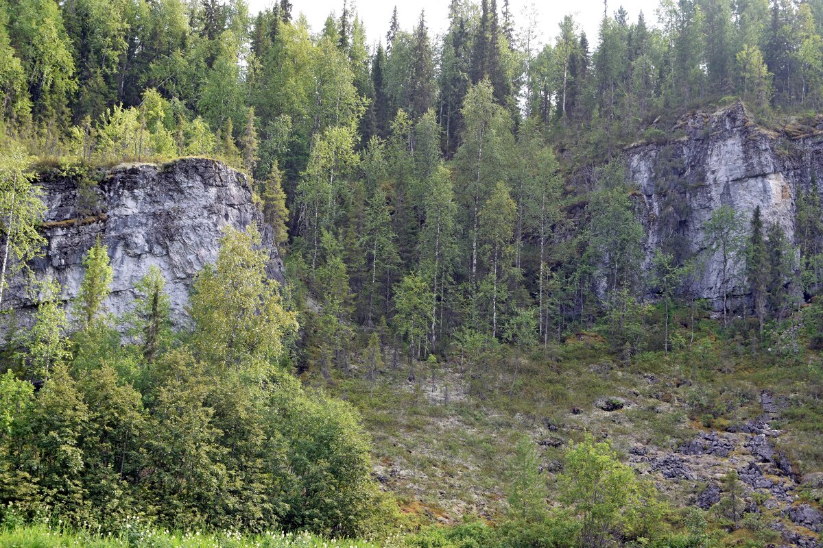 Вход в тайгу. - ВикТор Быстров