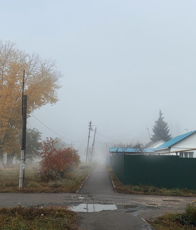 *** - Алексей Вирусян