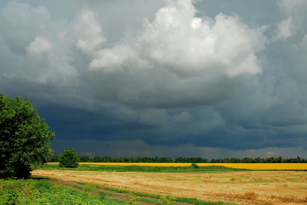 Перед грозой. - Владимир 