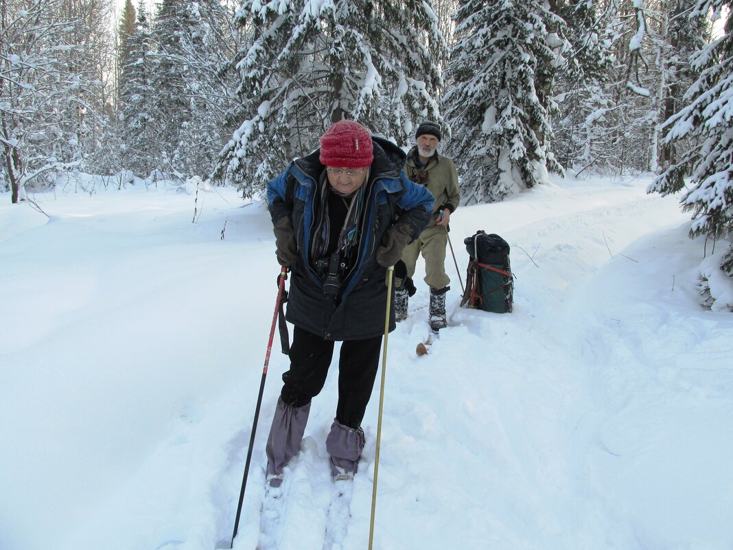 Устали таежники - Galaelina ***