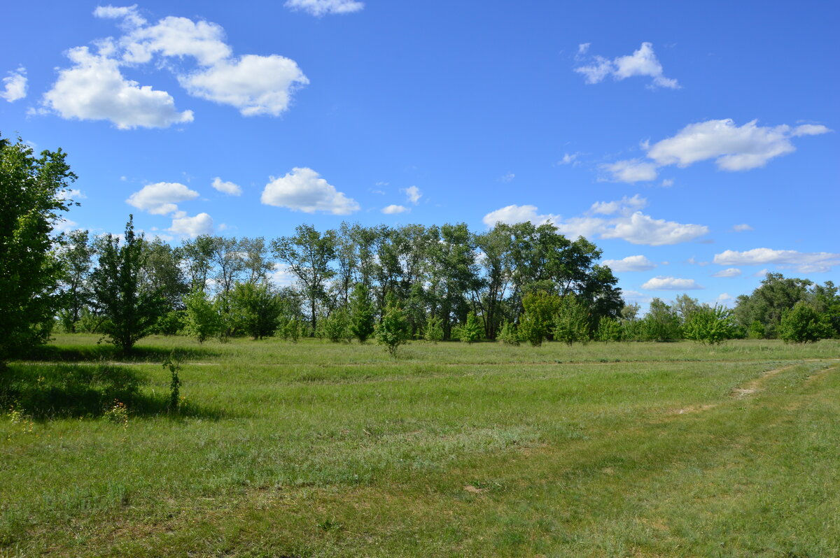 ВЕСНА. - Виктор 