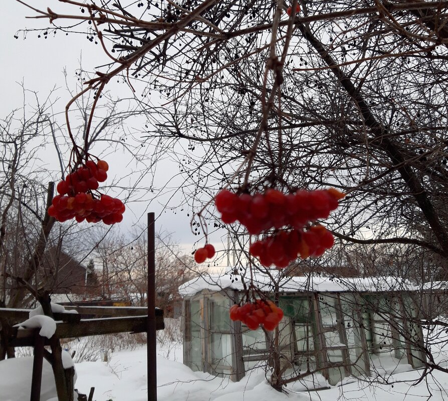 За городом зима - Венера Чуйкова