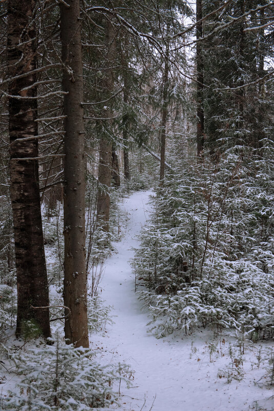 # - Михаил Славный