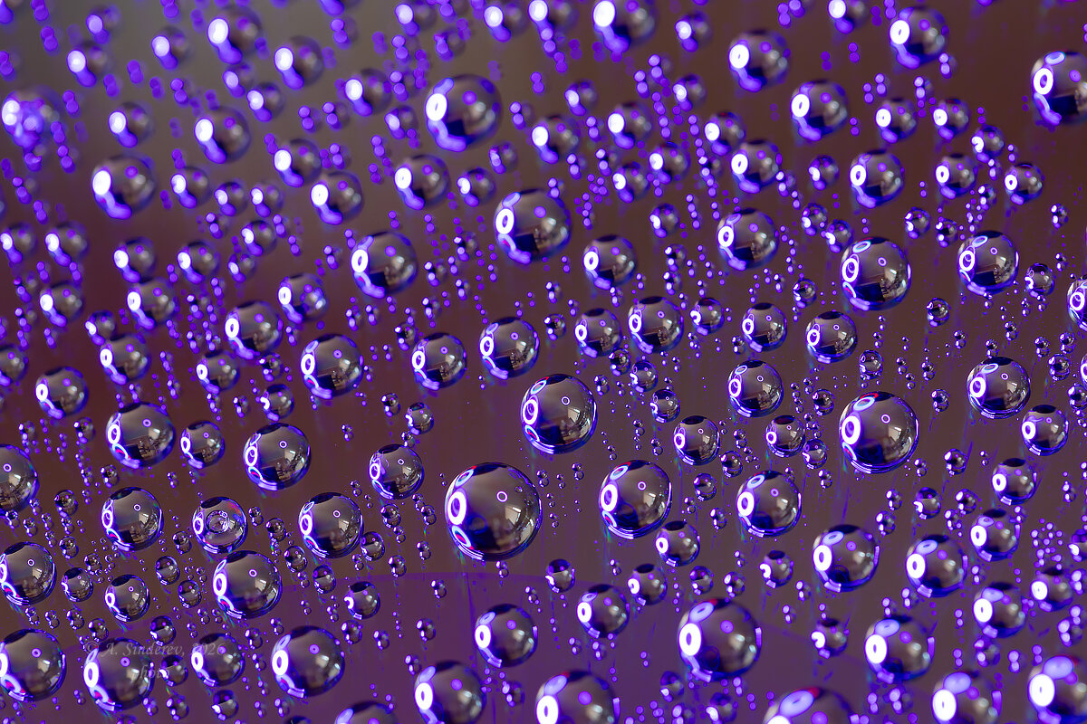 Капли воды на фиолетовом фоне - Александр Синдерёв