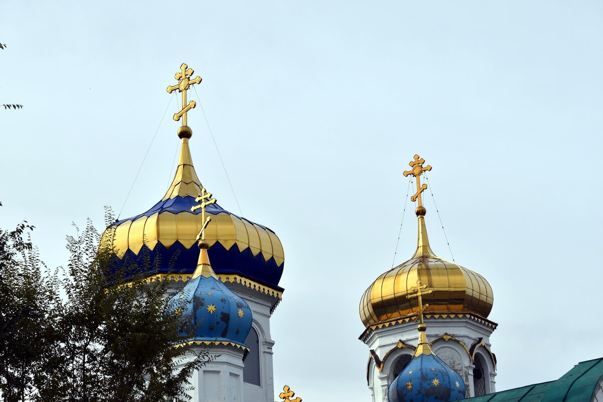 Золотые купола - Дарья Шуклина