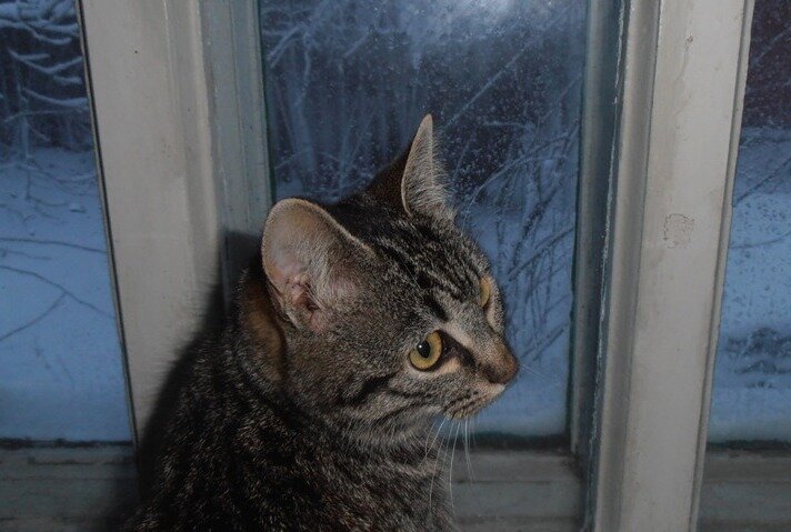 Зимний вечер... - Наталья 