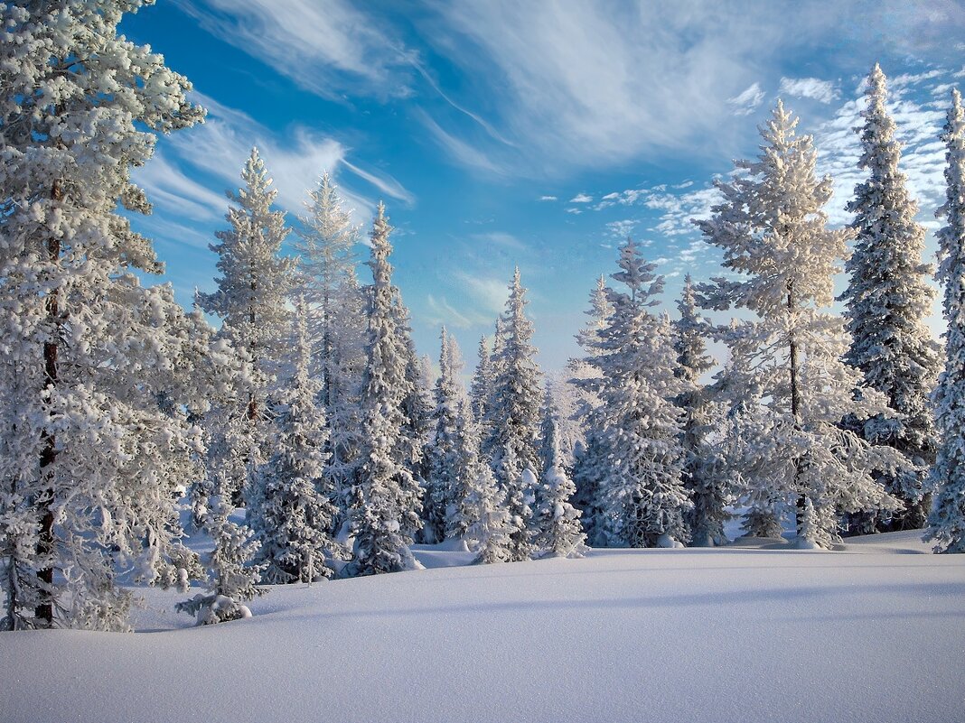 Царство дедушки Мороза ... - Ravile 