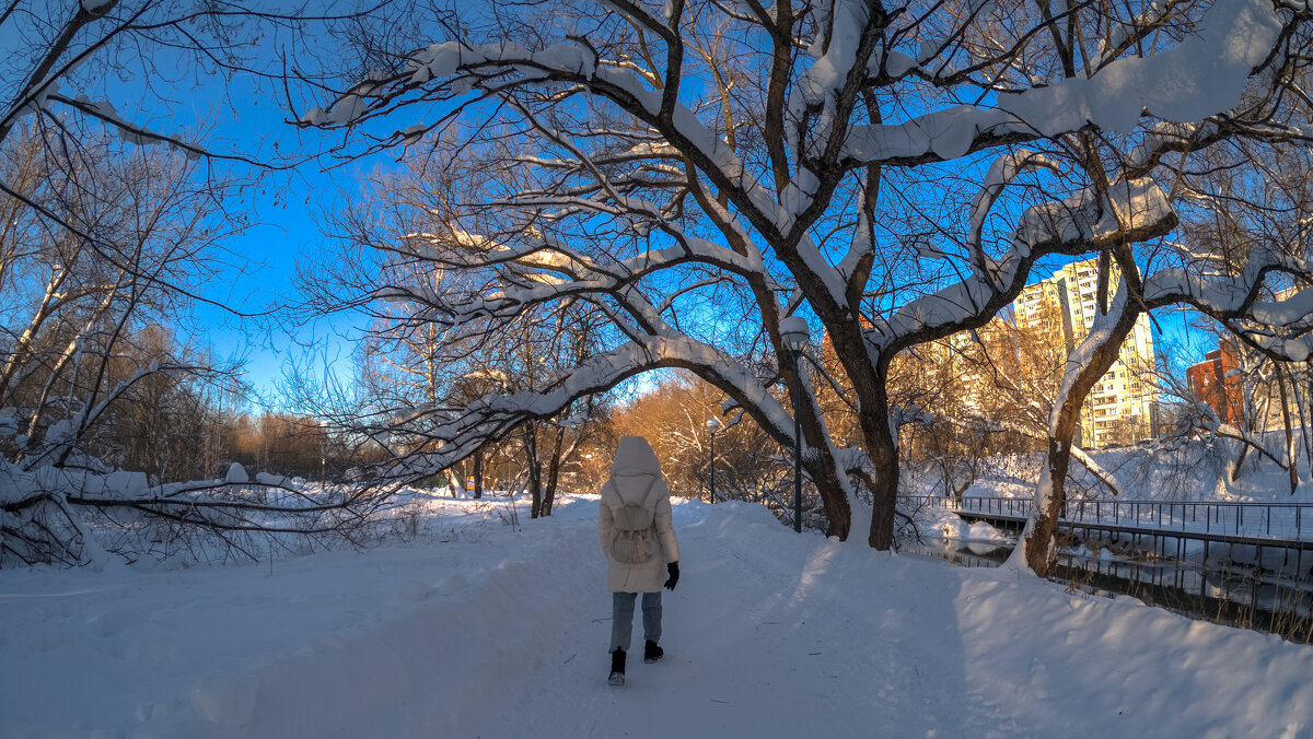 Прогулки в Зимнем Парке - юрий поляков