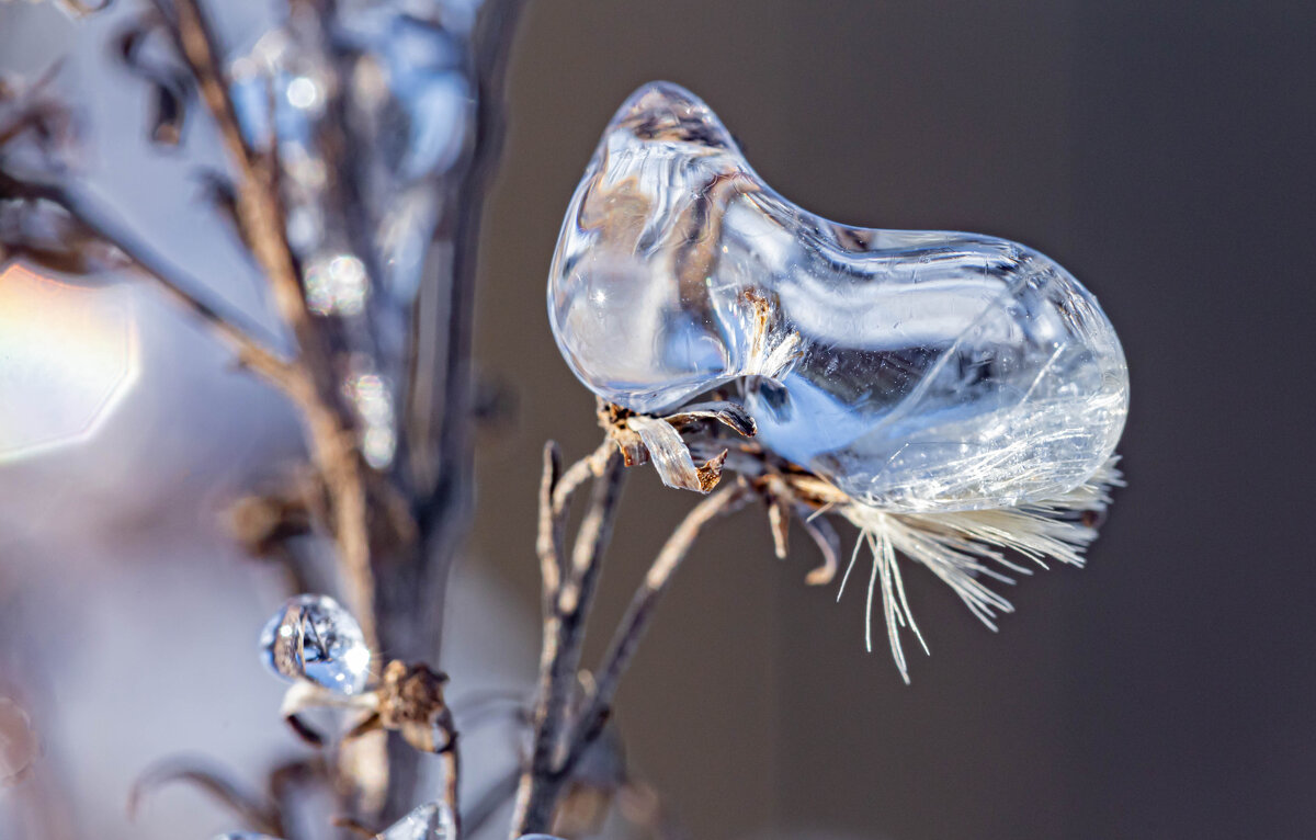 «Зимние бриллианты — бесплатно и в неограниченном количестве». - Екатерина Счасная