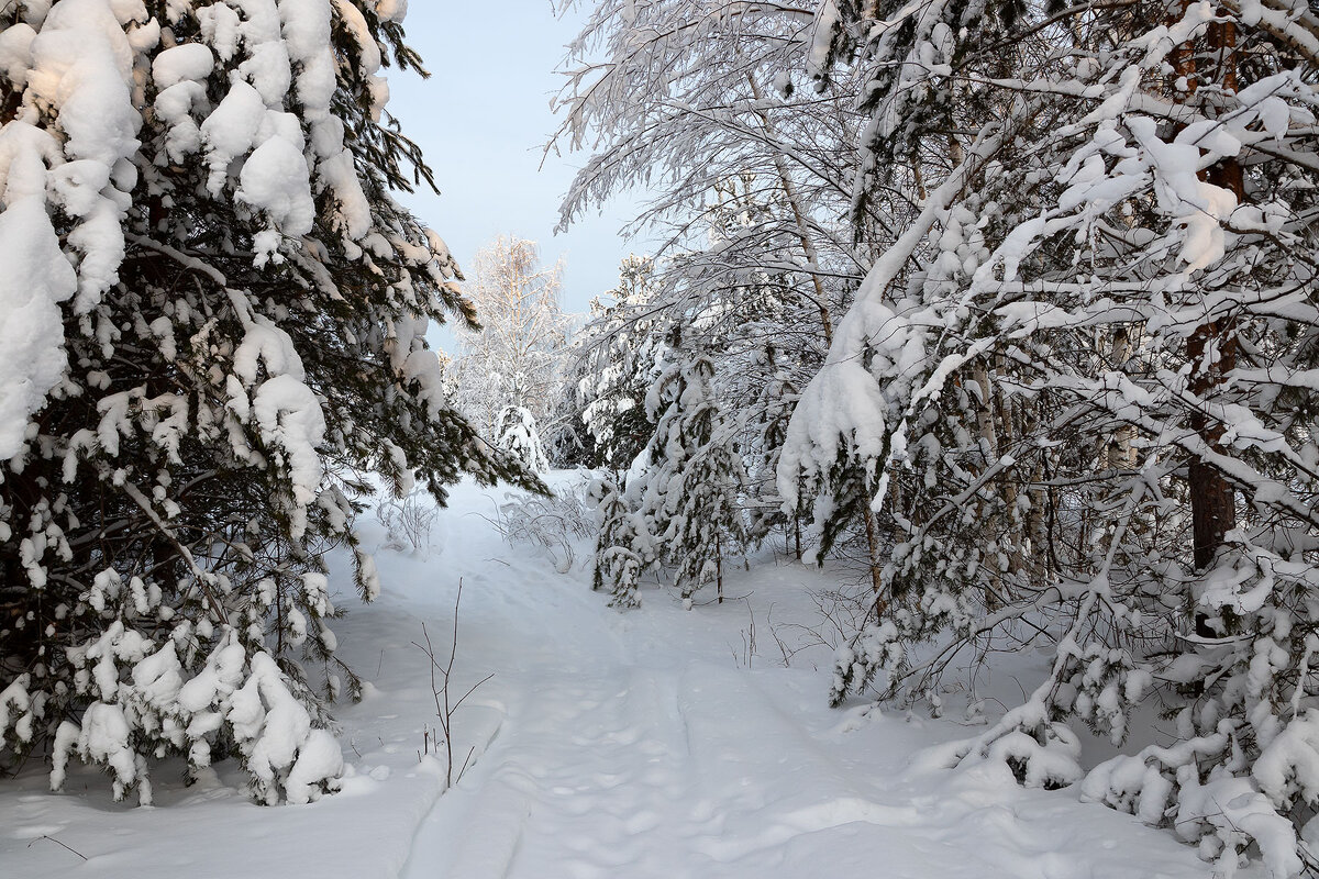 *** - Андрей Дурапов