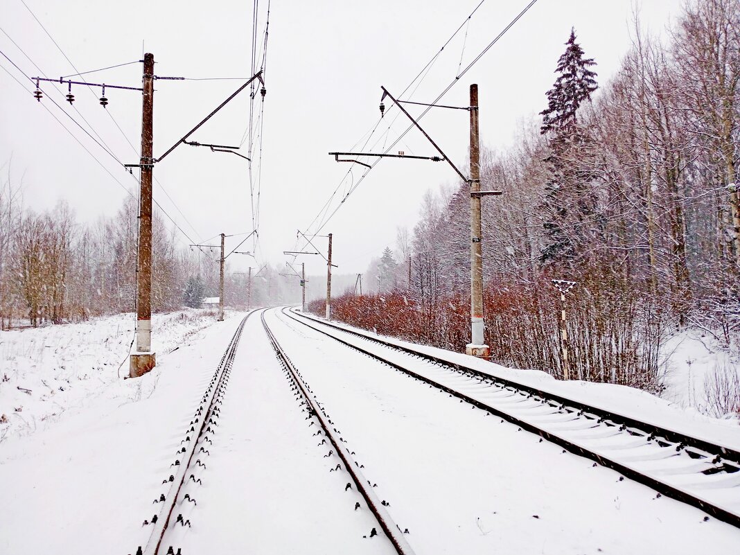 Снегопадно - Лия ☼