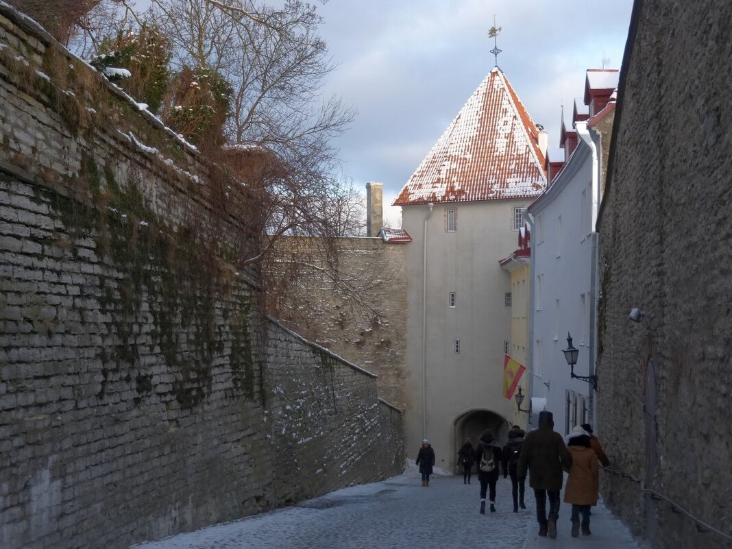 Таллинн - Елена Суханова