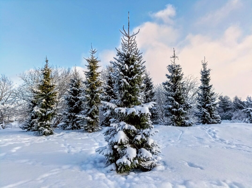 В парке Тондилоо - Veera V