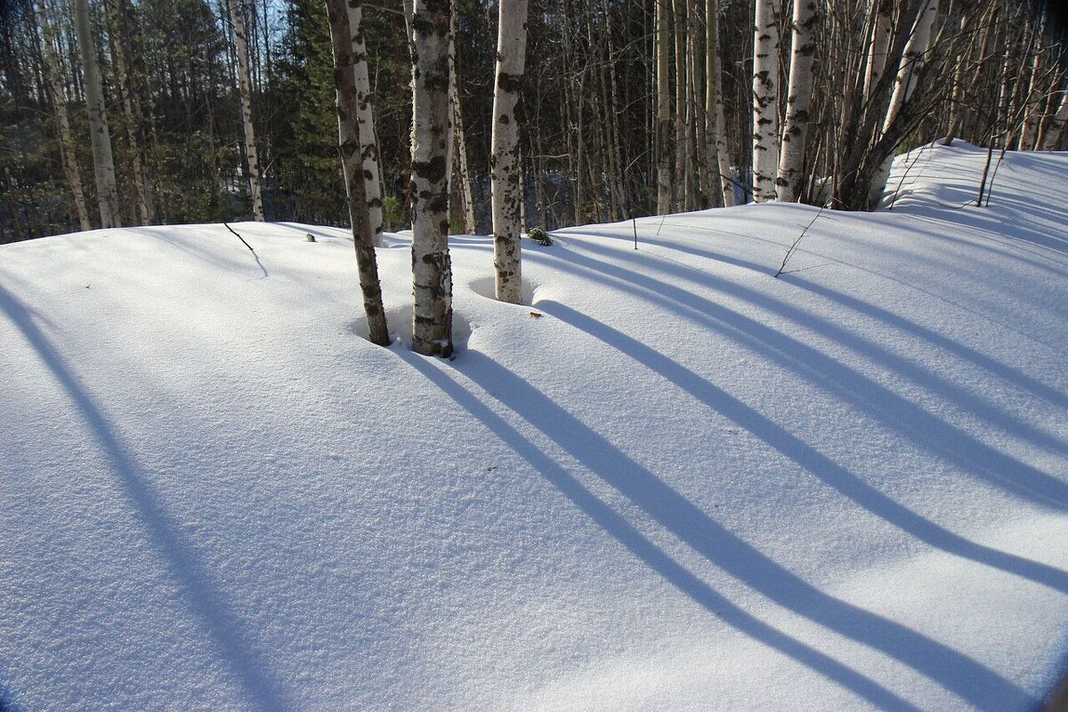 Глубокие снега февраля! - Владимир 