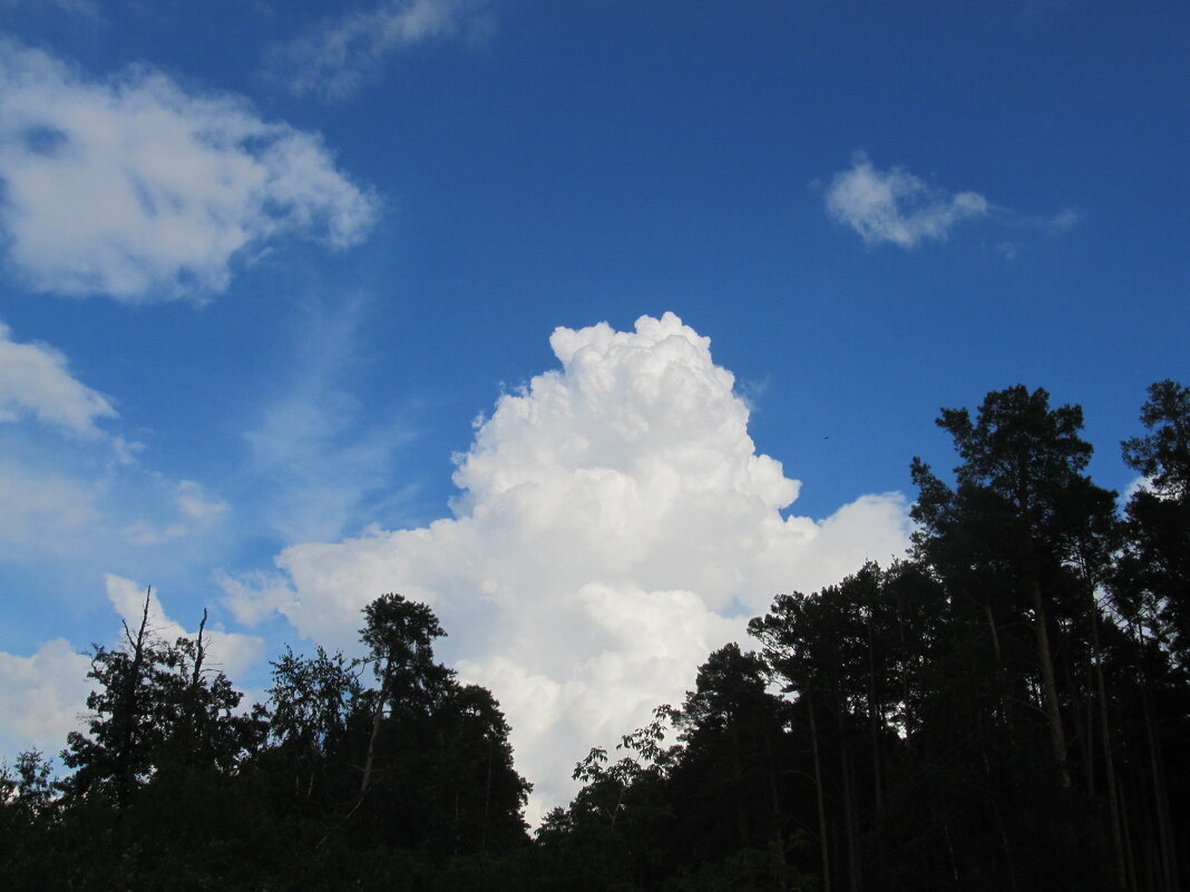 облако - Елена Шаламова