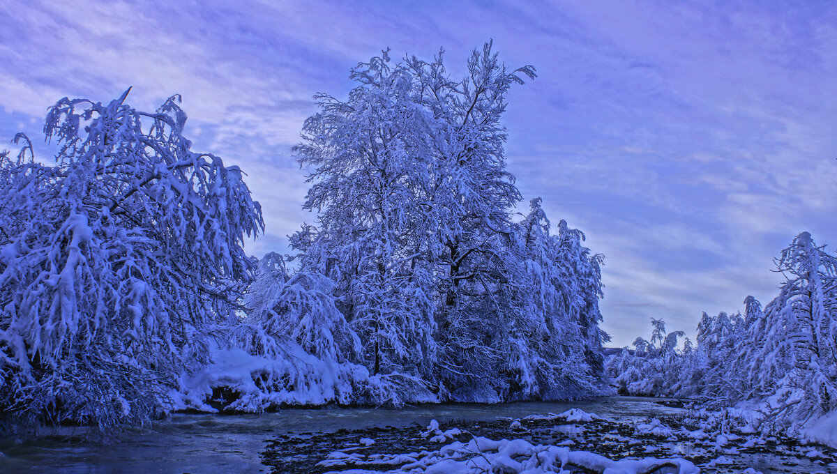 Новогоднее утро---03 - Владимир Холодный