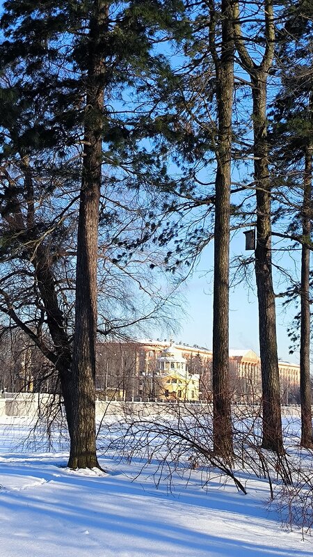 Морозный февраль. - Ольга 