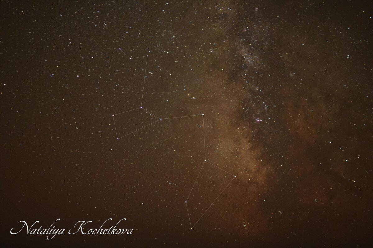 Природа Крыма - Amazing Cosmea