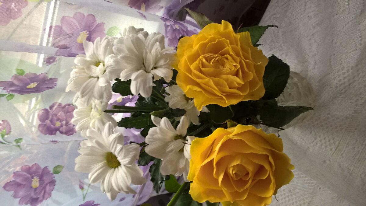 РОЗЫ И ХРИЗАНТЕМЫ - Елена Семигина