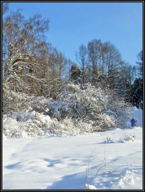 Зимний день - мороз и солнце - Ольга Довженко