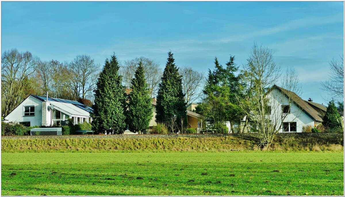 НА КРАЮ ПОЛЯ... - Elvira E. 