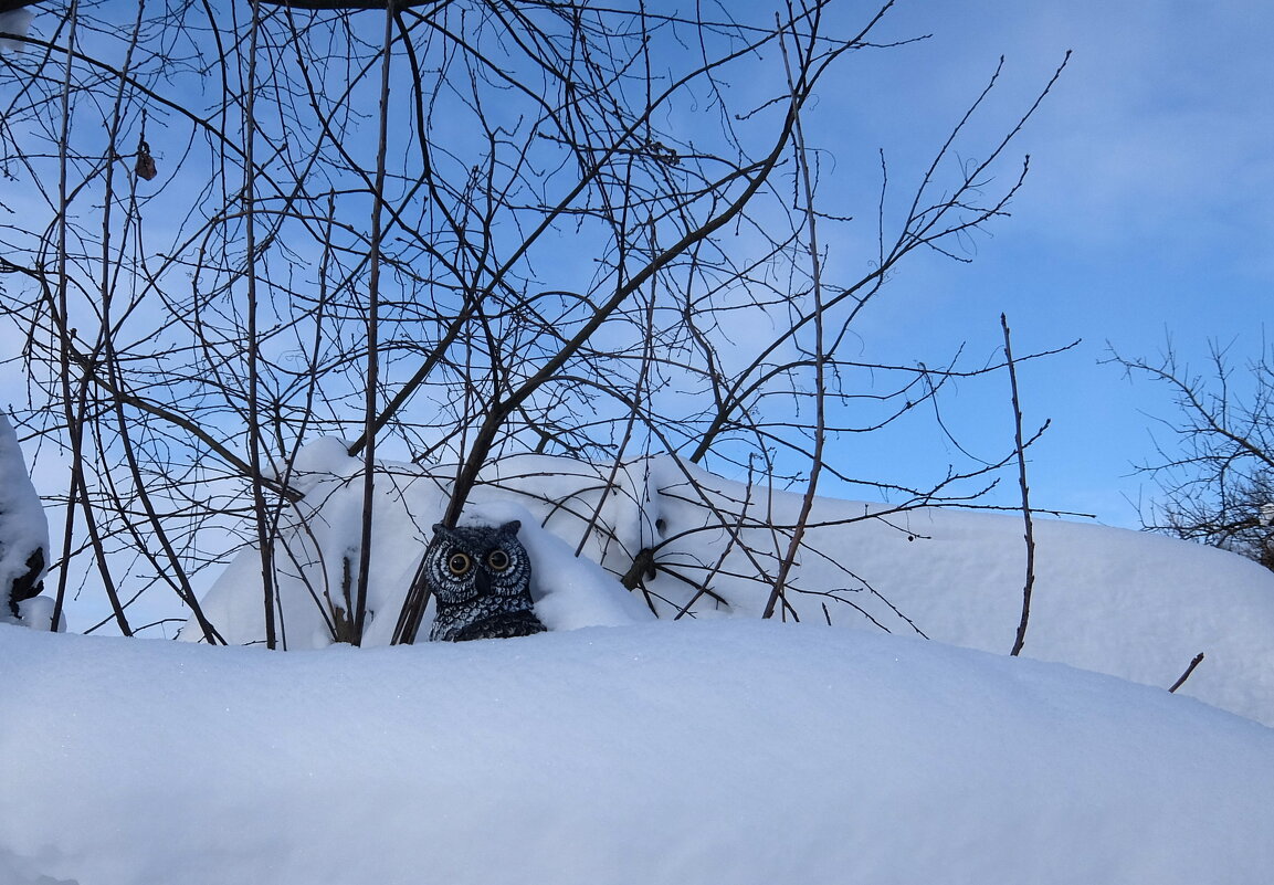 Дратути! - Люба 