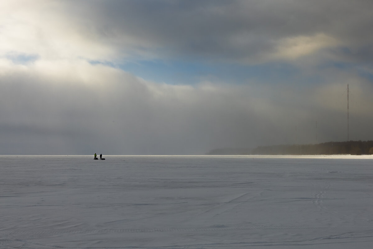 * - Светлана Воробьева